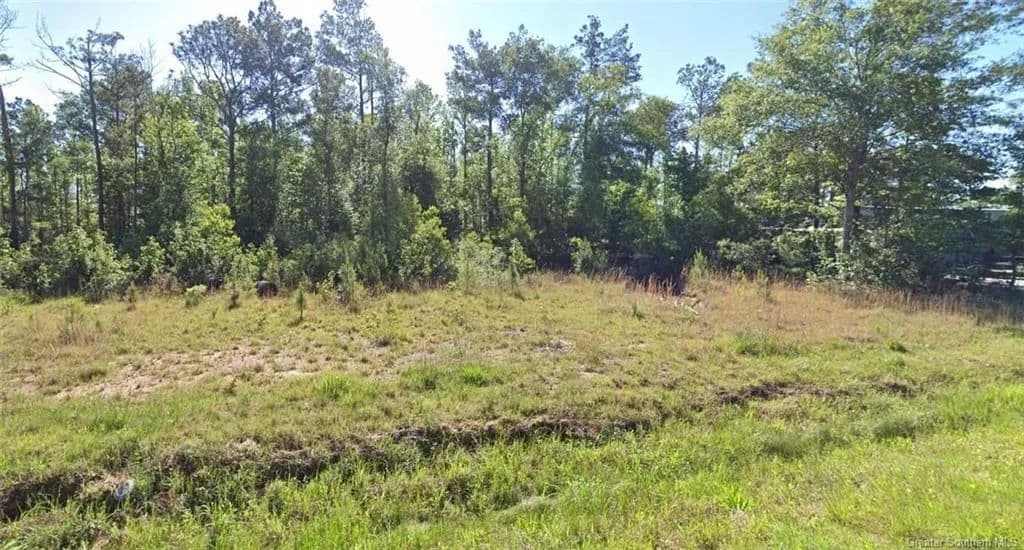 Lots & Land-Other in Ragley - Ragley, Louisiana, 70657