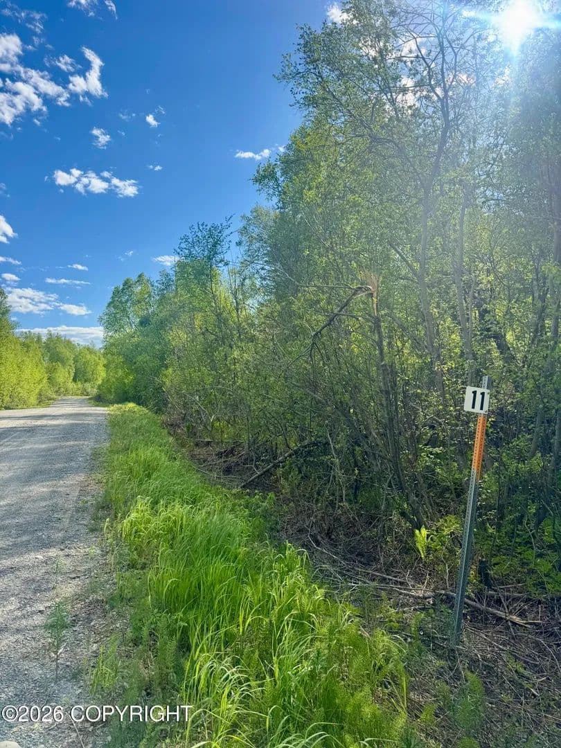 4.92 Acres of Land for Sale in Trapper Creek, Alaska - Trapper Creek, Alaska, 99683
