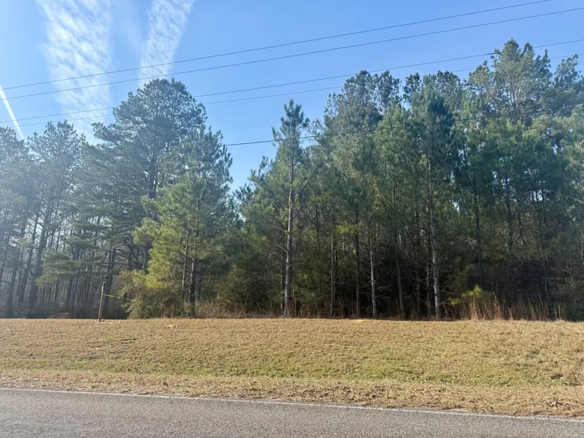 3.7 Acres | Jayess, MS