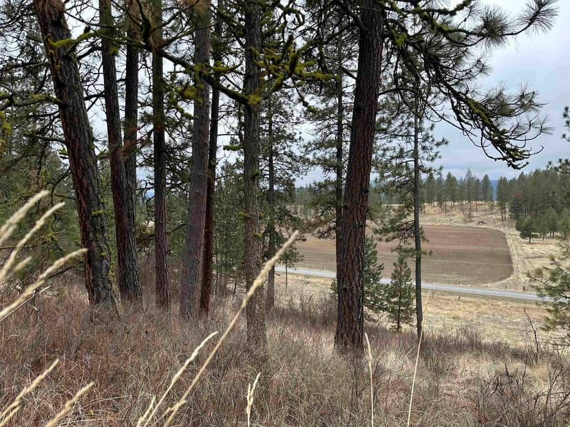 Property from 3312X Daisy Mine Rd - KW