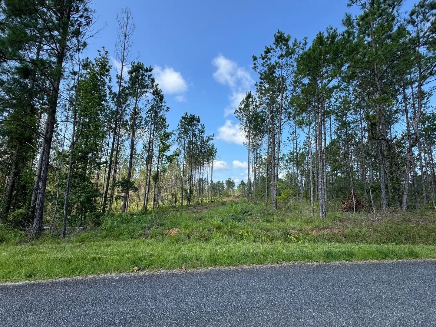 27.08 +/- Acres on Parker Island Road, Coosa County, AL - Equality, Alabama, 36026