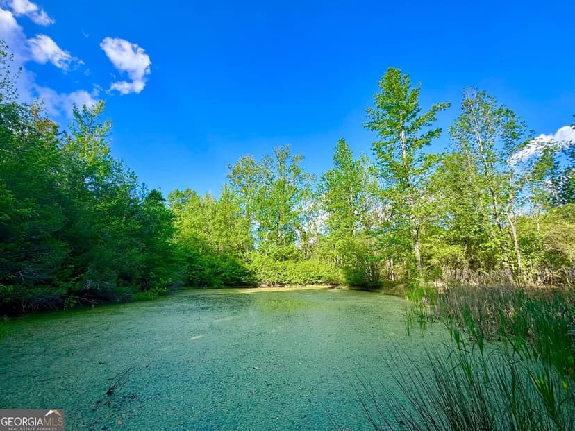 Property from 1300 Robinson Street - KW