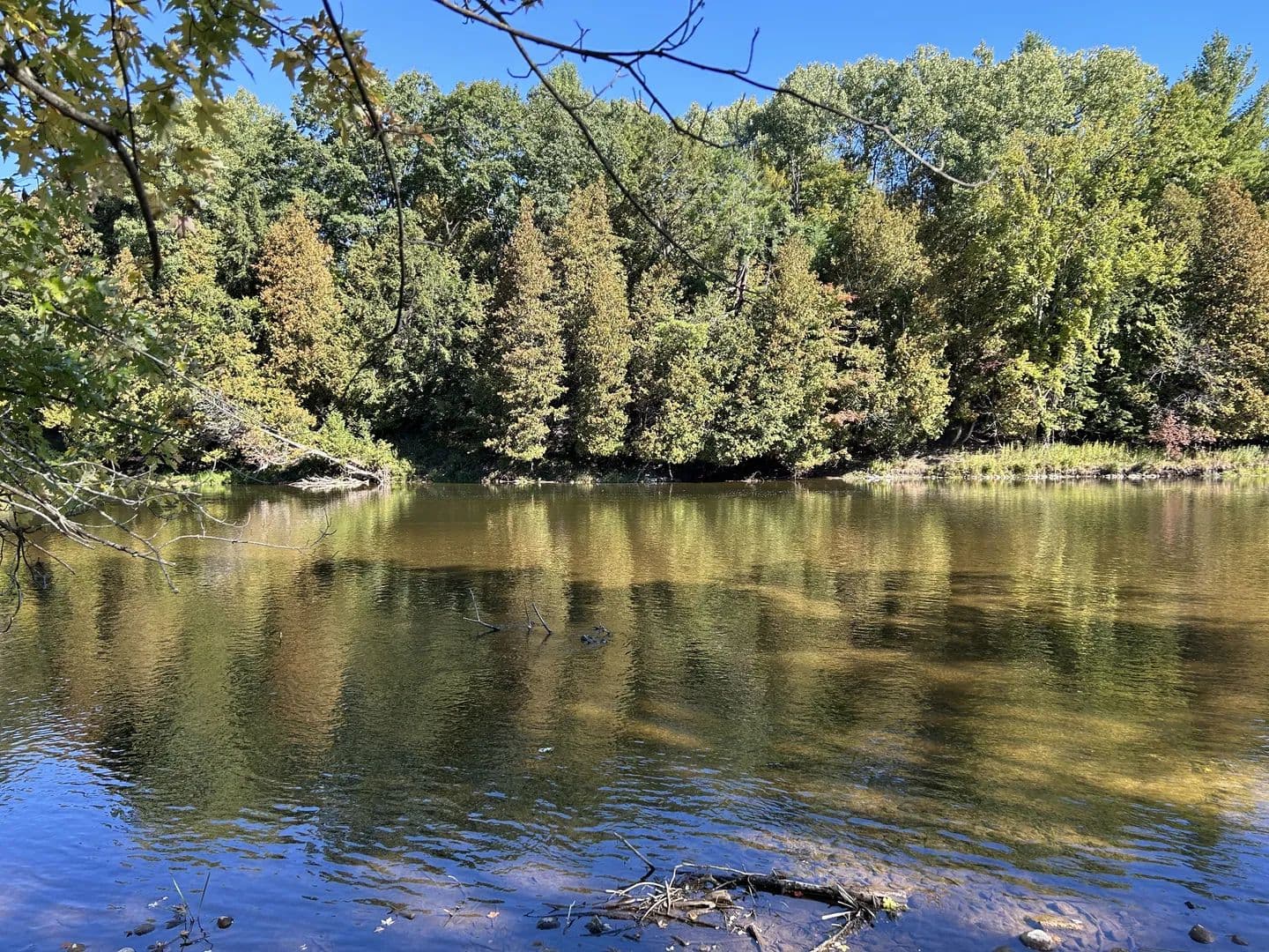 Vacant Land in Paris - Paris, Michigan, 49338