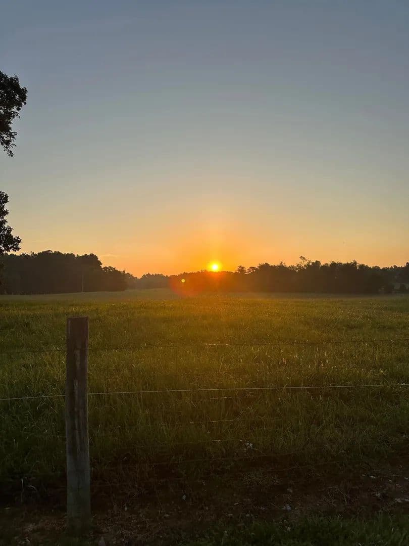 Lots & Land-Other in Wartrace