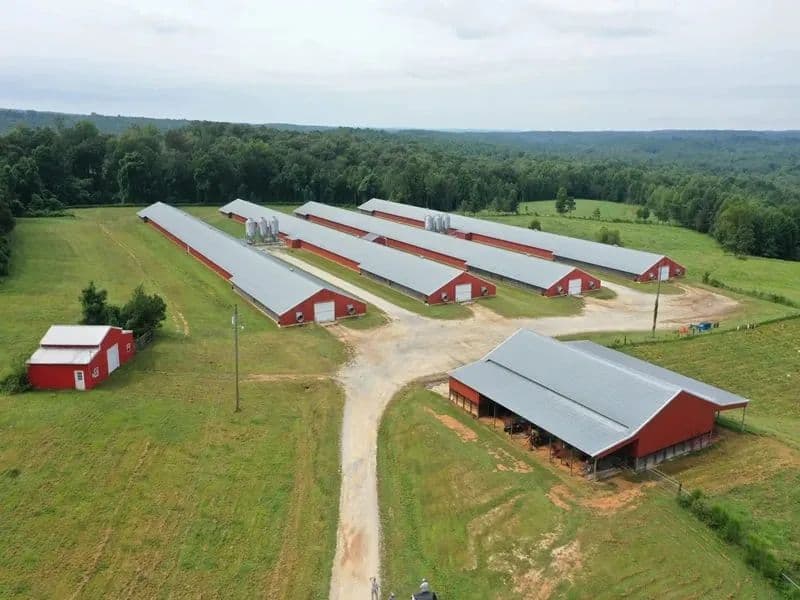 Seven Shades Broiler Farm – Four House Farm in Etowah County, Alabama - Altoona, Alabama, 35952