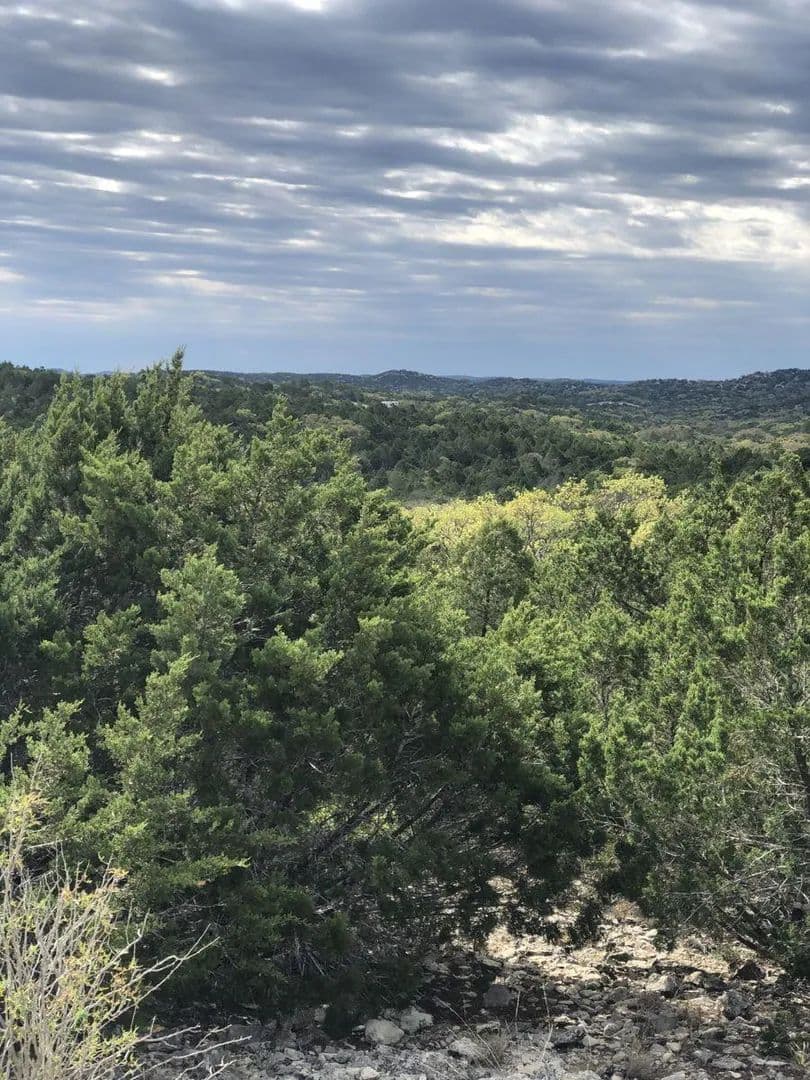 Lots & Land-Other in Rocksprings - Rocksprings, Texas, 78880