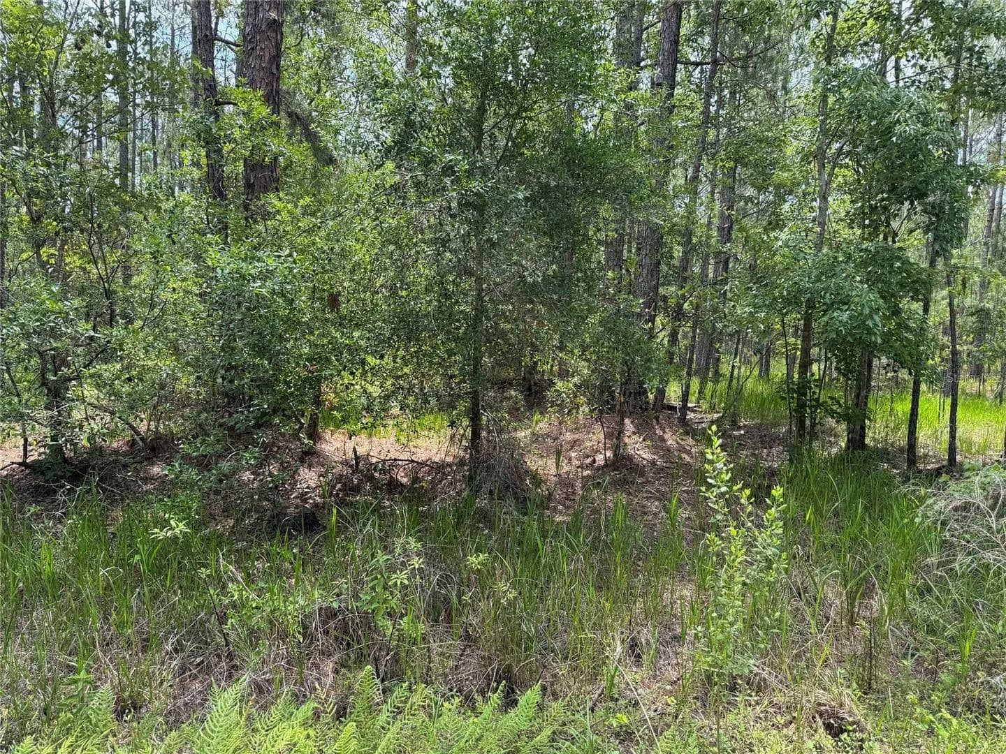 Lots & Land-Other in OCALA - Ocala, Florida, 34473