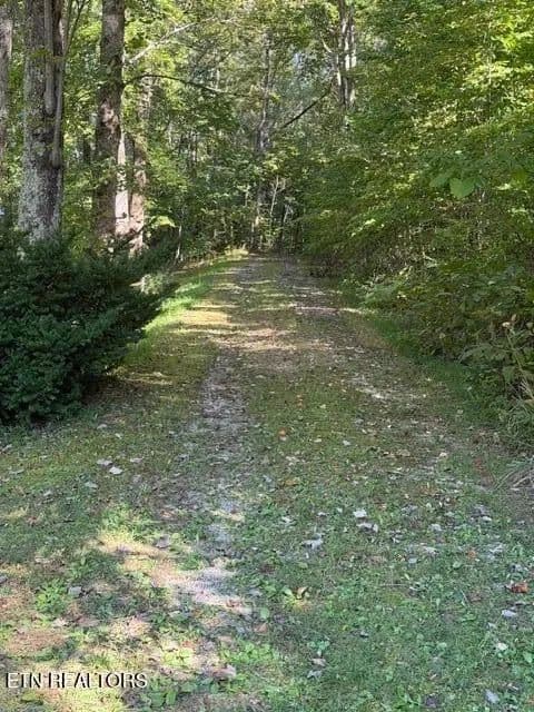 Lots & Land-Other in Rose Hill - Rose Hill, Virginia, 24281