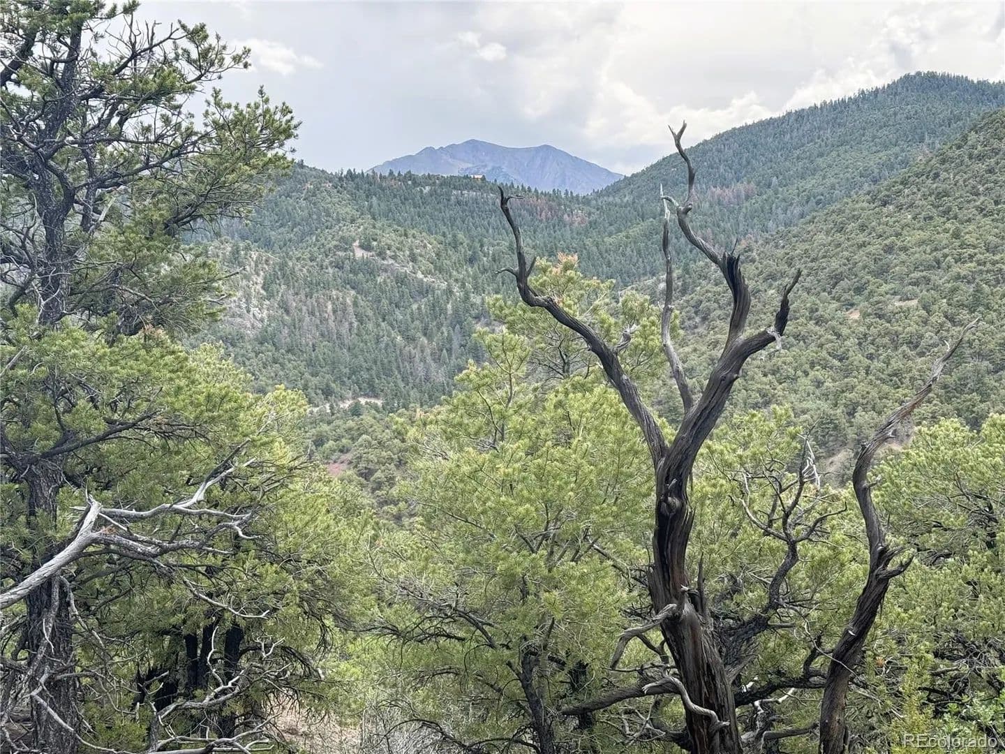 Lots & Land-Other in Howard - Howard, Colorado, 81233