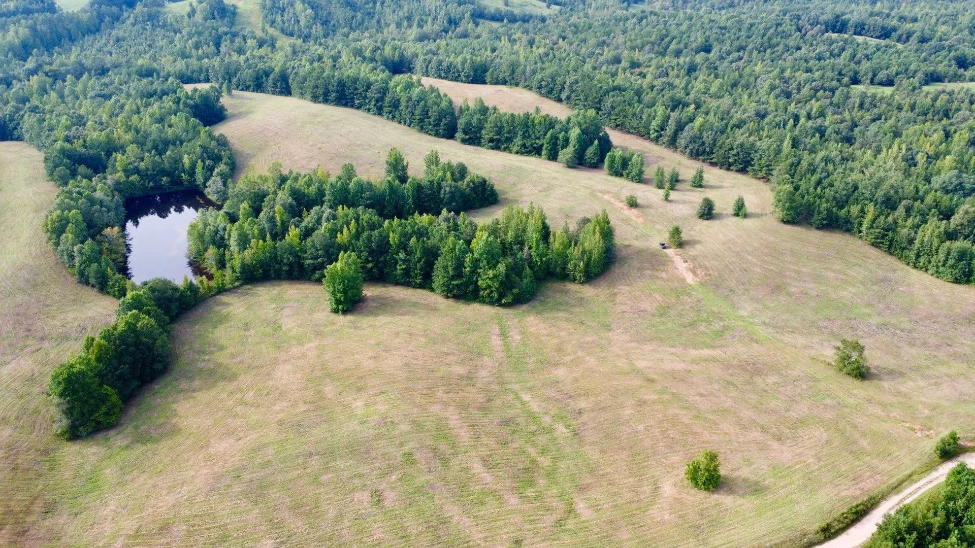 Wilkerson Road 40 | Pasture, Lake, & Homesites | 40 +/- Ac in Clay County - Wadley, Alabama, 36274
