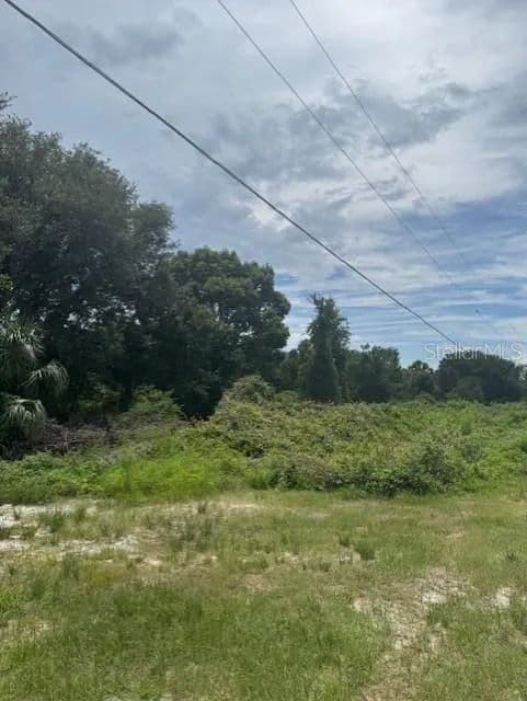 Vacant Land in Osteen