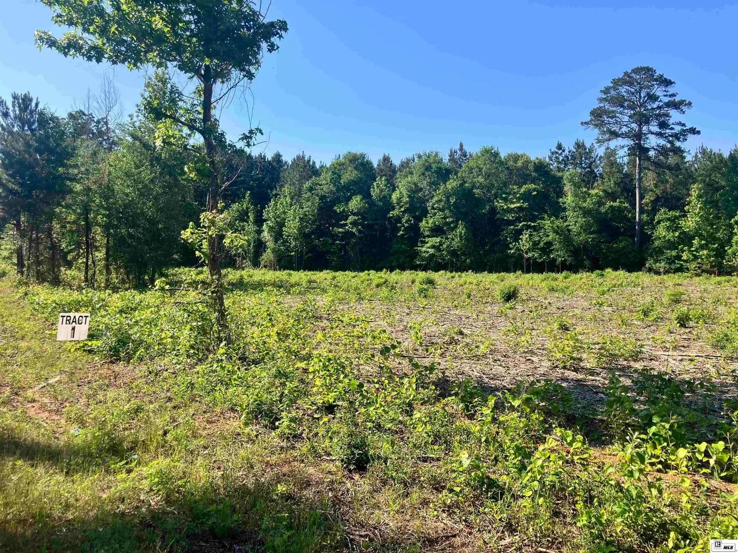 Vacant Land in Simsboro - Simsboro, Louisiana, 71275