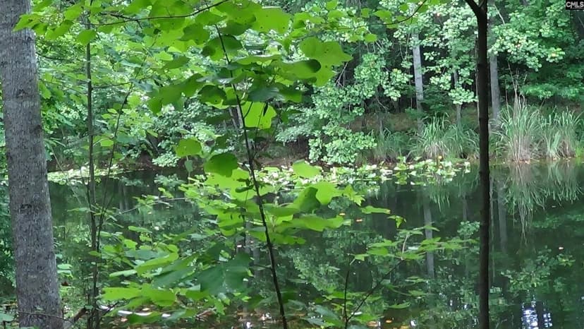 Vacant Land in Elgin