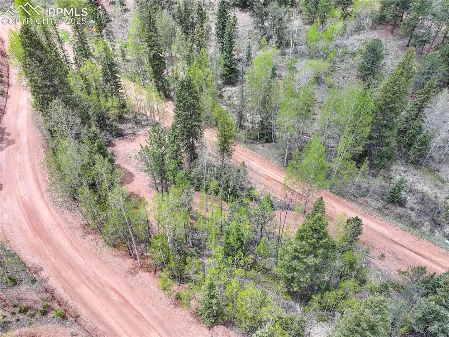 Vacant Land in Divide - land for sale