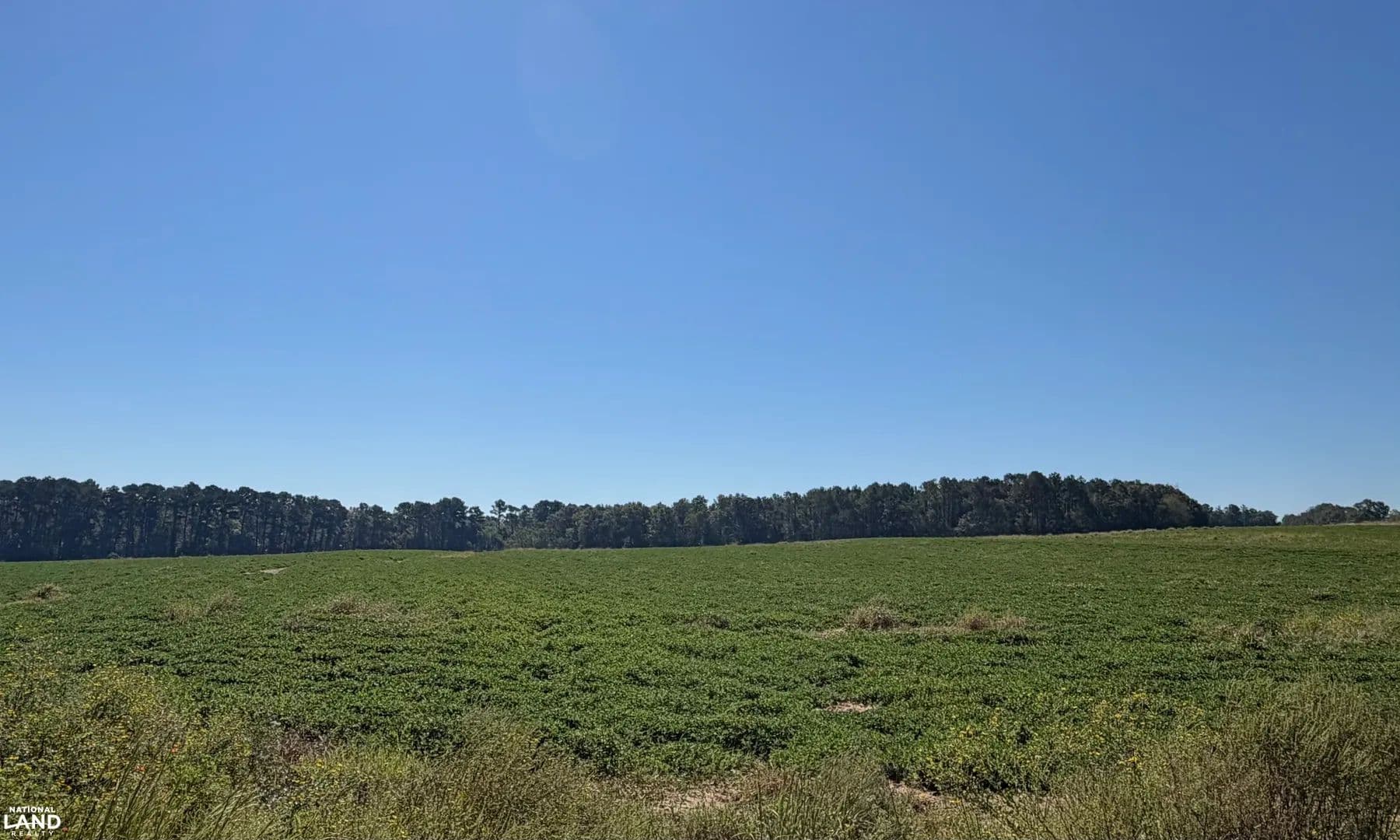 Potential Webb RD Development - Dothan, Alabama, 36303