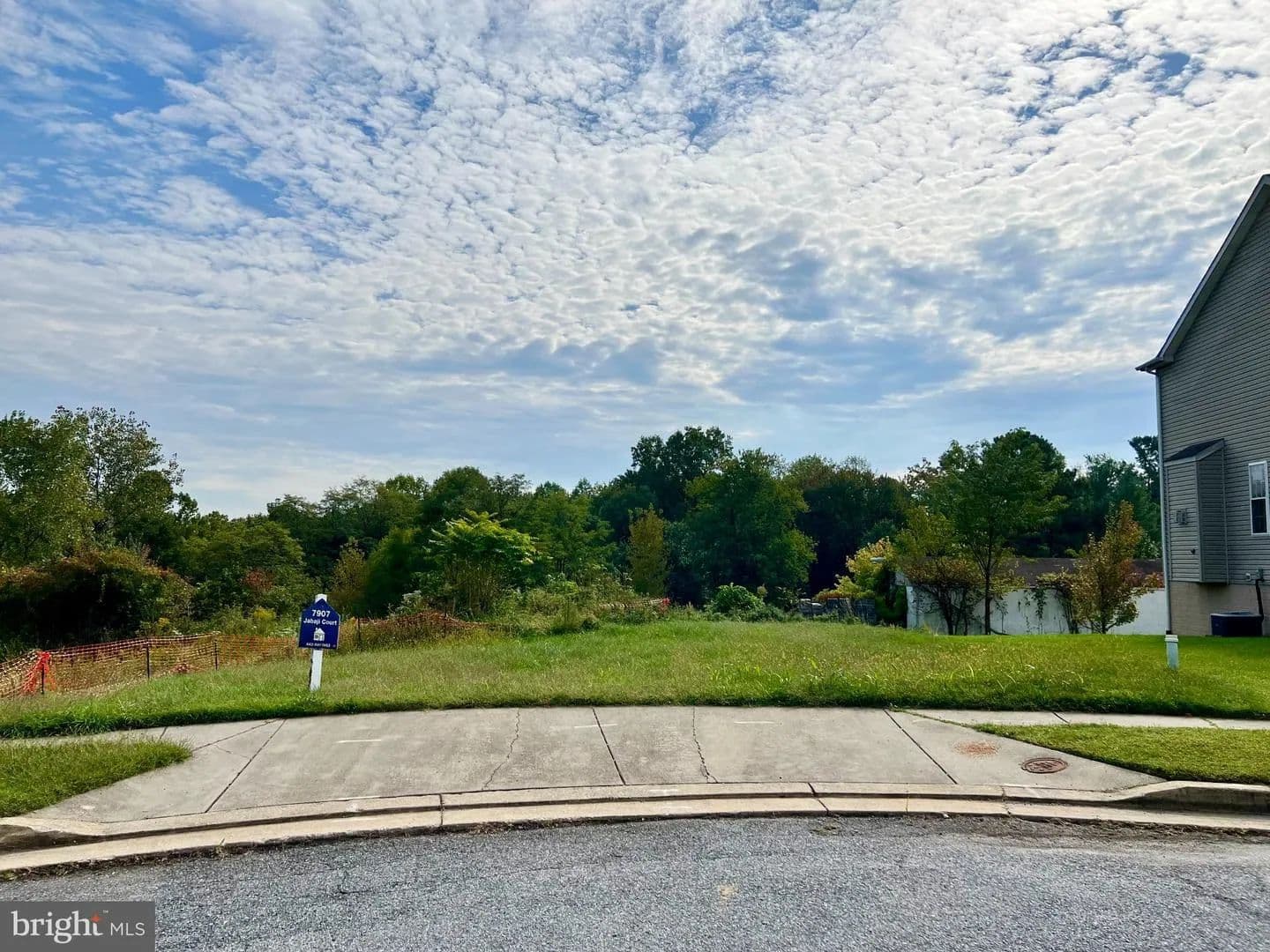 Vacant Land in Baltimore - Baltimore, Maryland, 21236