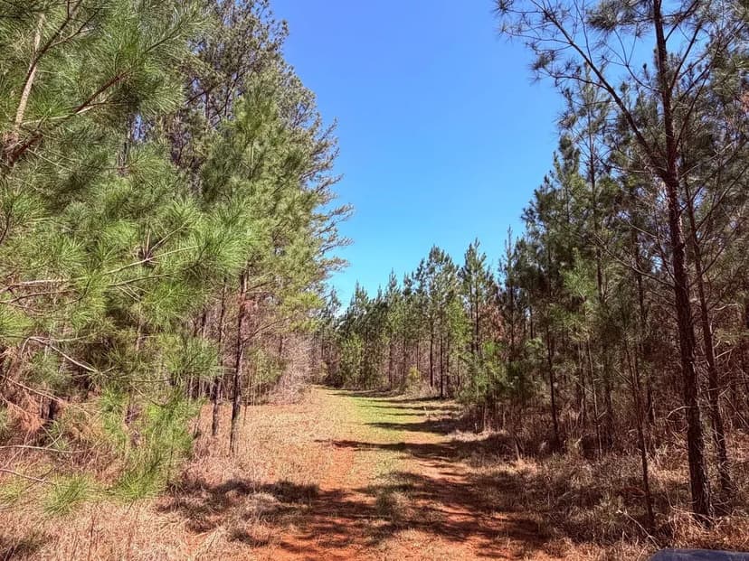 Fort Creek Timberlands