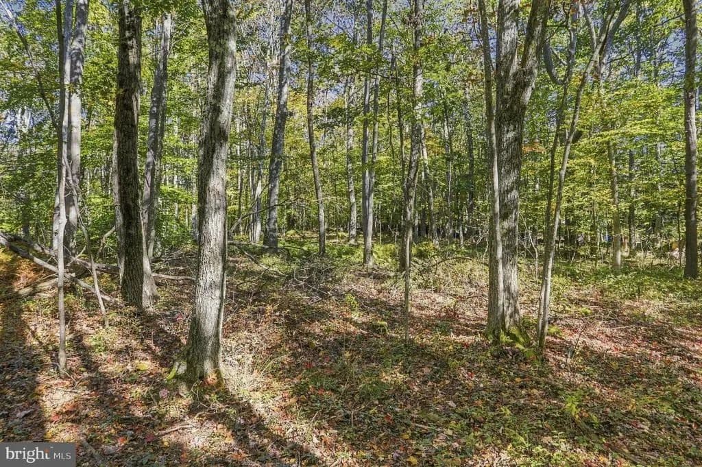 0.94 Acres of Land for Sale in MCHENRY, MD - Mchenry, Maryland, 21541