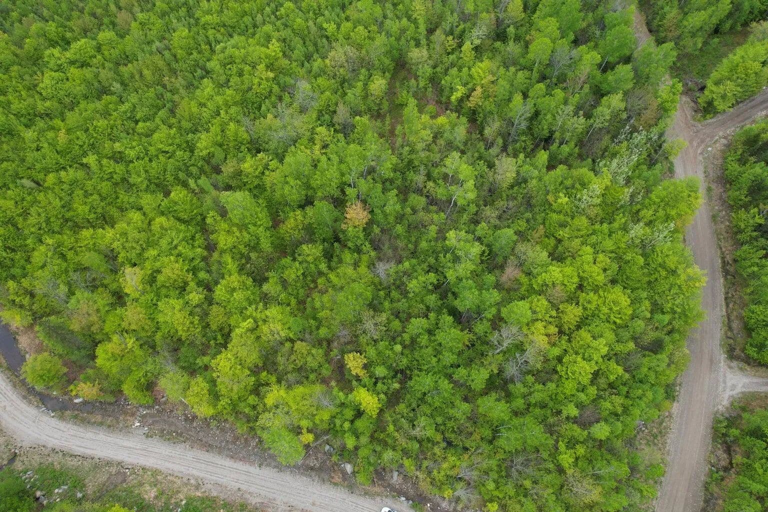 4.49 Acres of Land for Sale in Kingfield, ME - Kingfield, Maine, 04947