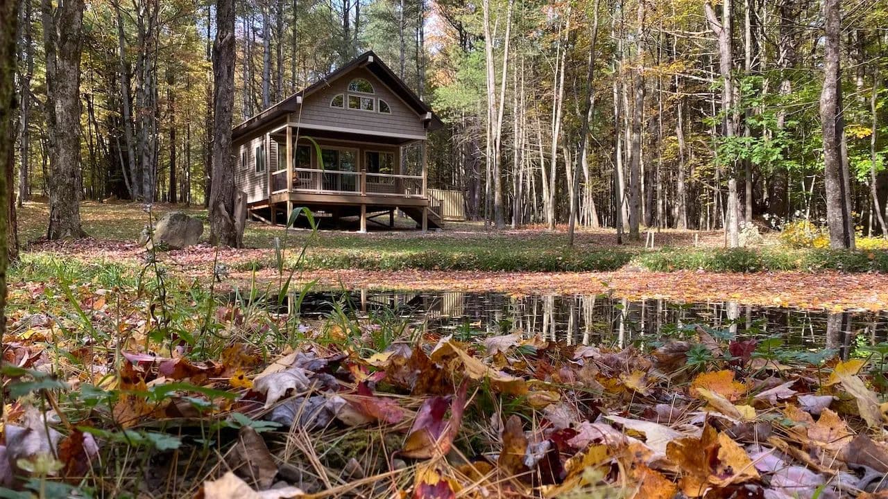 11 acres Cabin with Pond and Hunting Blind in Granger NY 11442 Hooker Rd - Hunt, New York, 14846