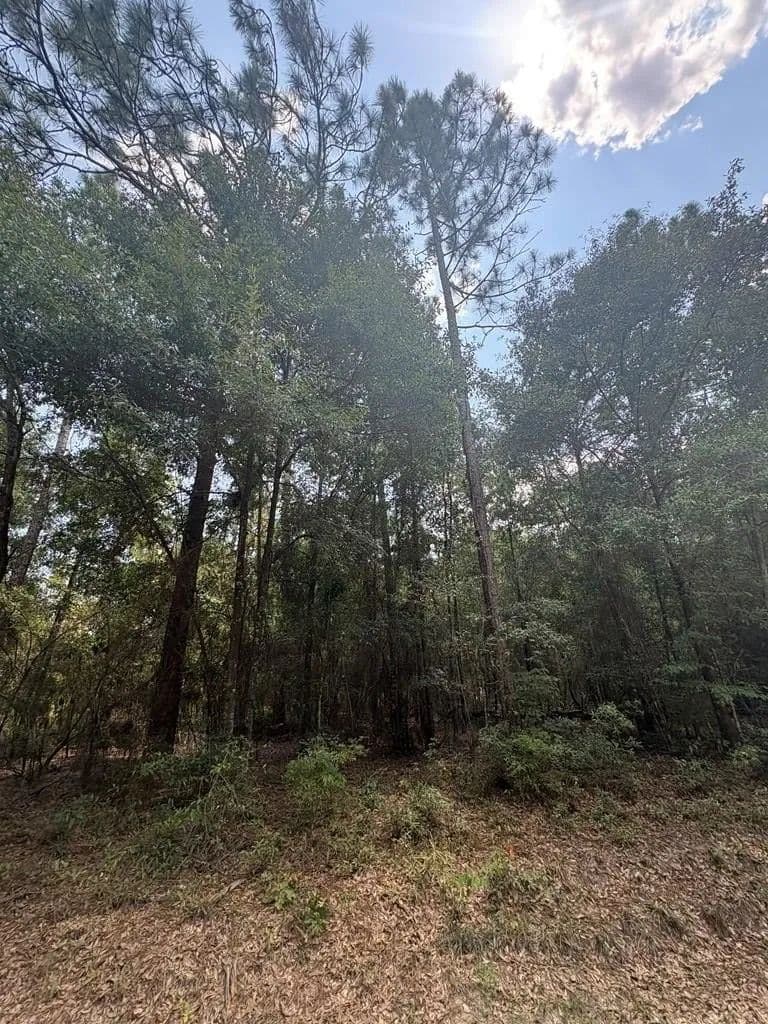 Lots & Land-Other in Donalsonville - Donalsonville, Georgia, 39845