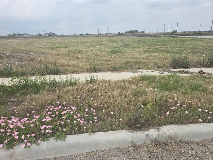 Property from 1685 Gemini Acres Drive - KW