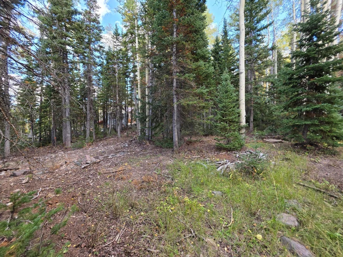 Vacant Land in Brian Head - Brian Head, Utah, 84719