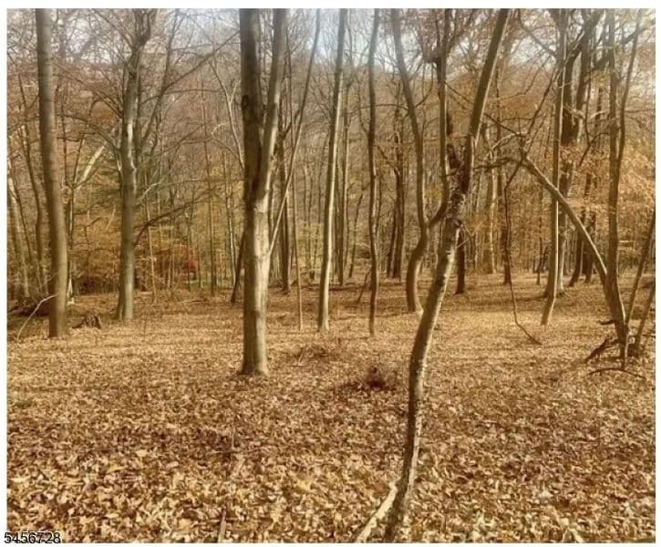 Vacant Land in Raritan Twp. - New Jersey, 08822