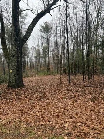 Lots & Land-Other in Wendell