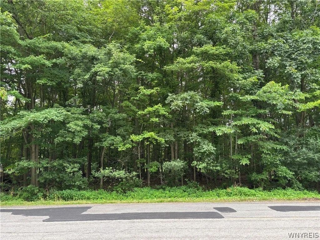 Lots & Land-Other in Elma - Elma, New York, 14059