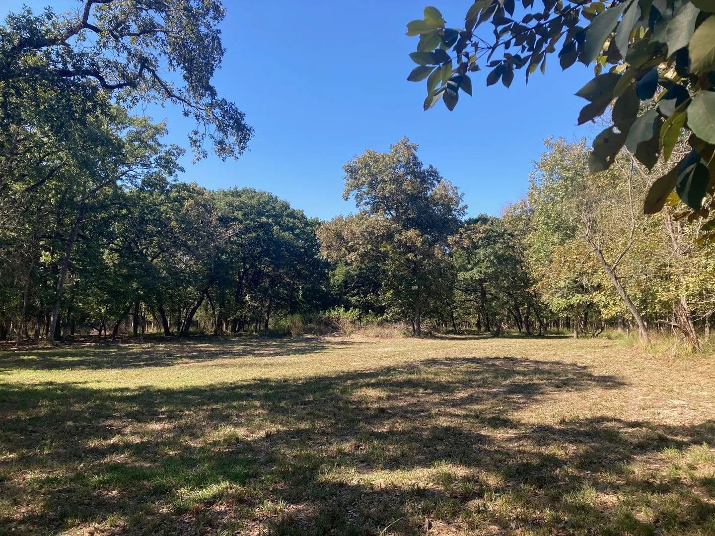 Vacant Land in Larue - Larue, Texas, 75770