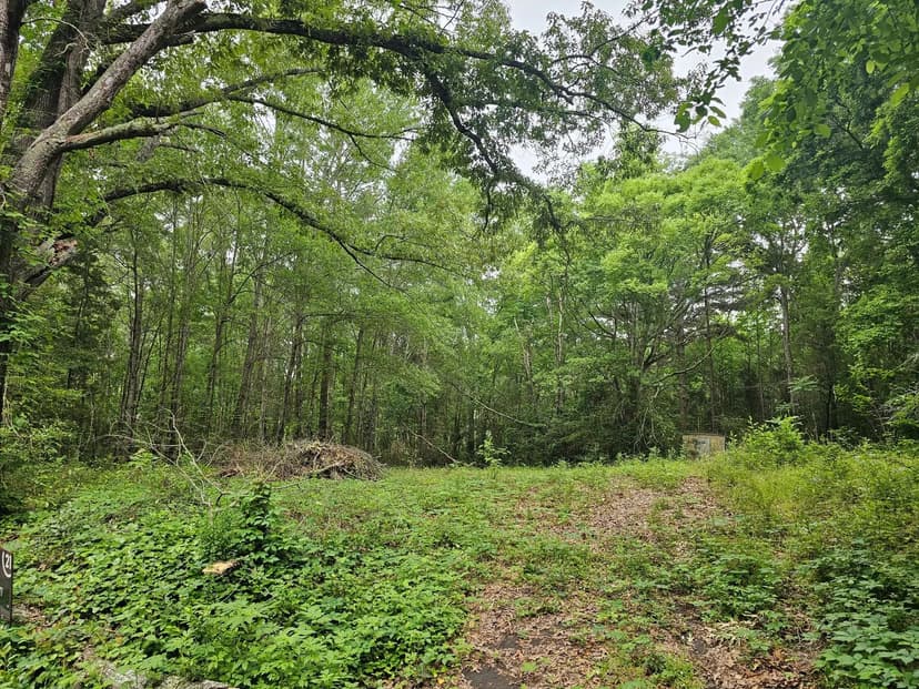 Vacant Land (0-10 Acres) in Henderson