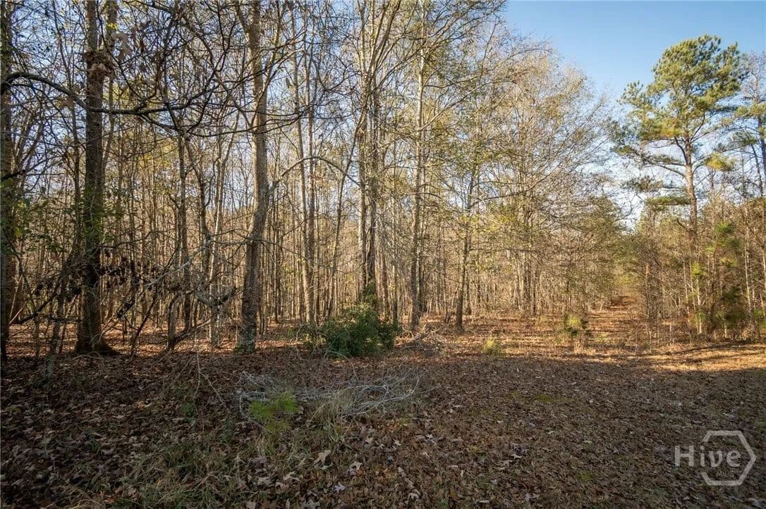 Vacant Land in Jefferson - Jefferson, Georgia, 30549