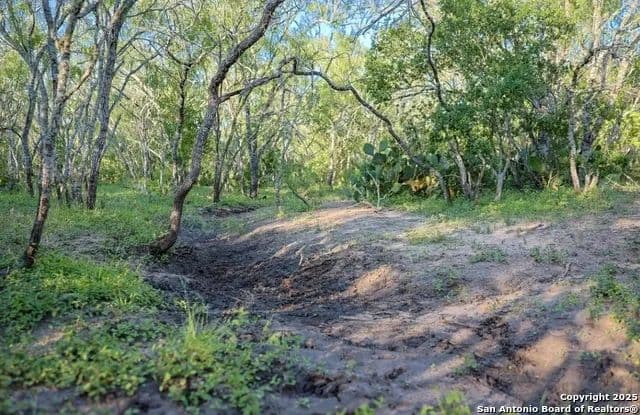 Vacant Land in Beeville