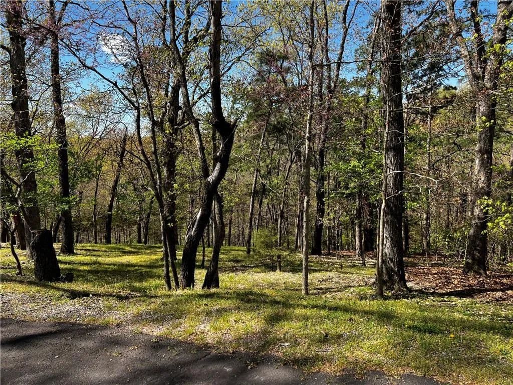 Lots & Land-Other in Bella Vista - Bella Vista, Arkansas, 72714