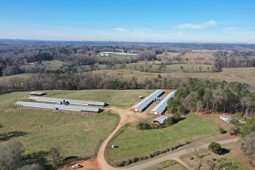 Phillips Broiler Farm – Four House Farm in Randolph County, Alabama