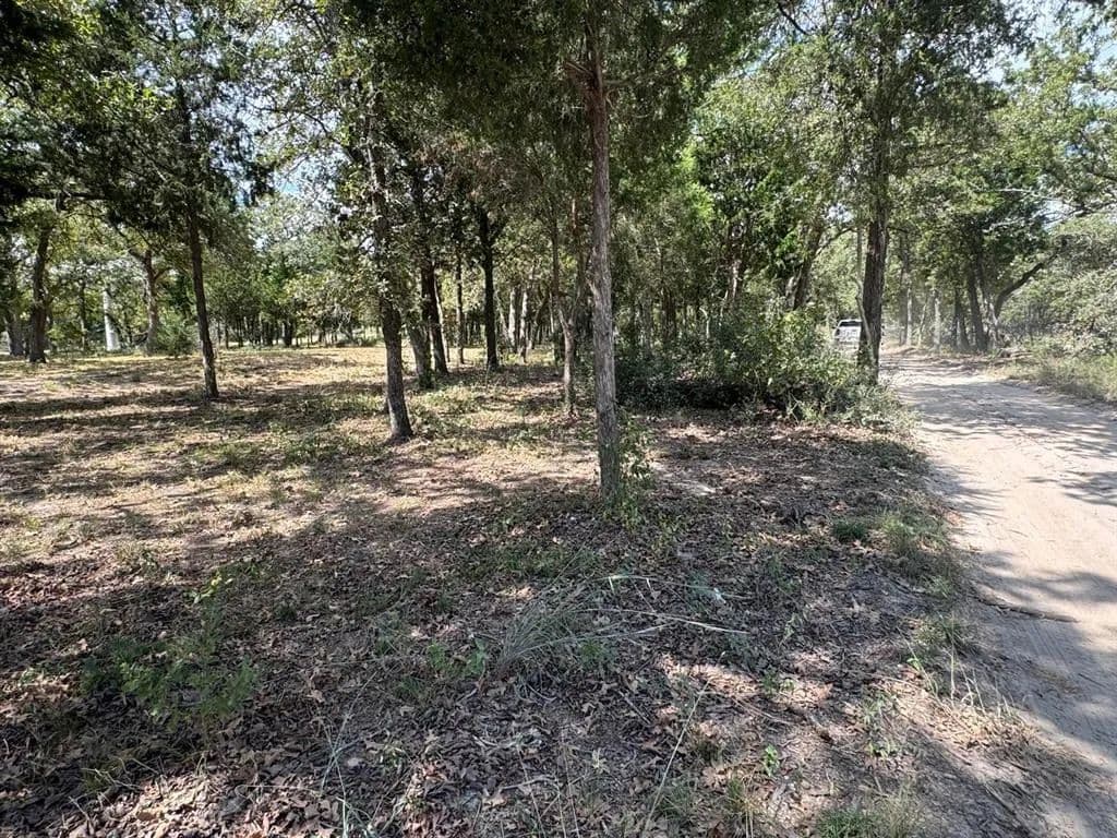Property from [Lot 2] 000 Jordan Lane - KW - Elgin, Texas, 78621