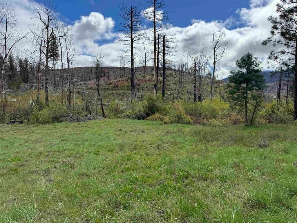 Vacant Land in Greenville - Greenville, California, 95947