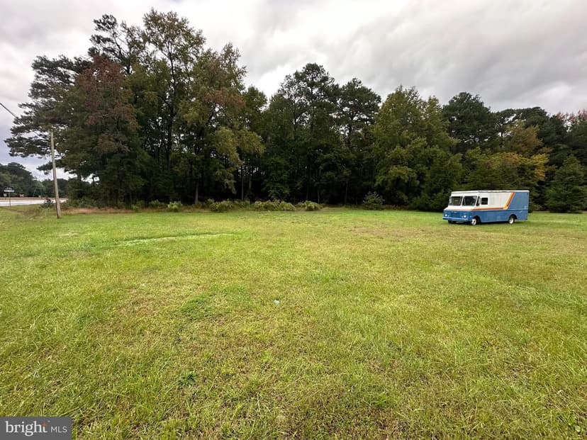 Vacant Land in Mardela Springs