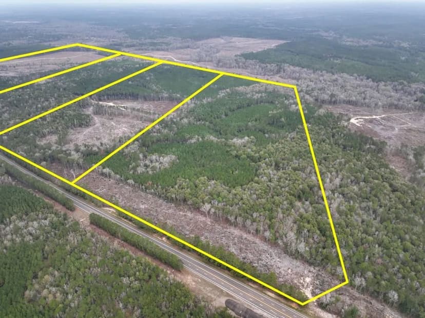 61 Acres | T-1 | Highway 190 | 01224