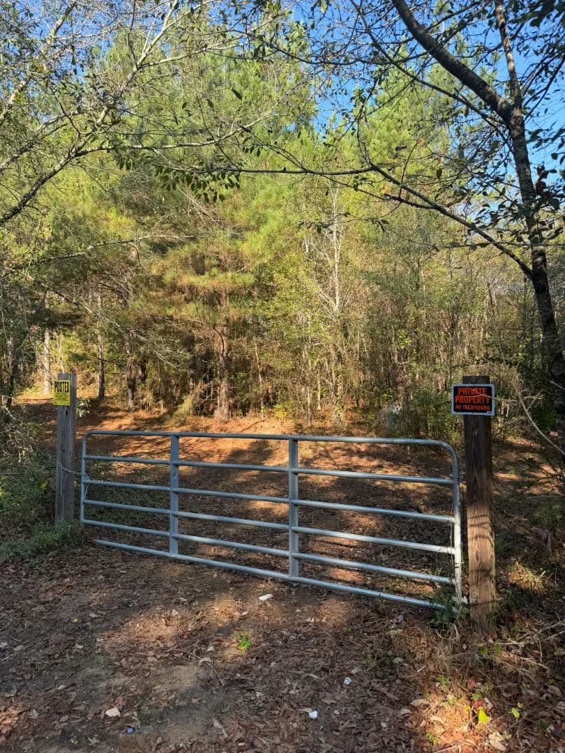 70 Acres in Kemper County, MS  - De Kalb, Mississippi, 39328