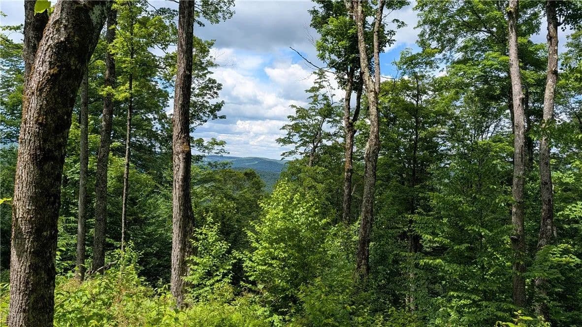 5.1 Acres of Land for Sale in Hamden, NY - Hamden, New York, 13782