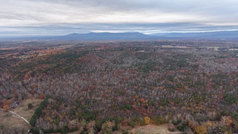 80 Acres in Polk County, AR