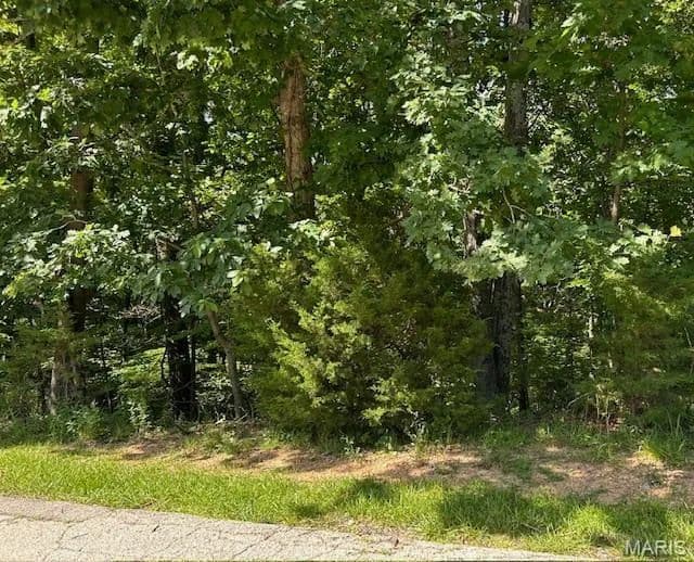 Vacant Land in High Ridge - High Ridge, Missouri, 63049