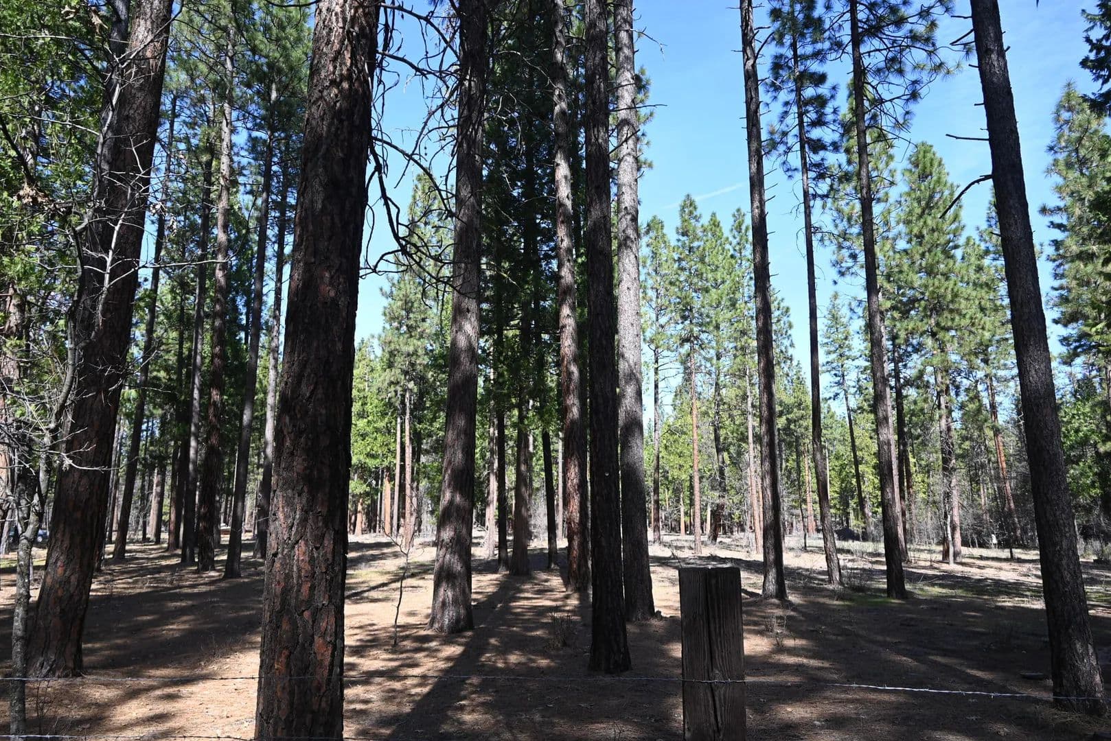 Lots & Land-Other in McArthur - Mcarthur, California, 96056