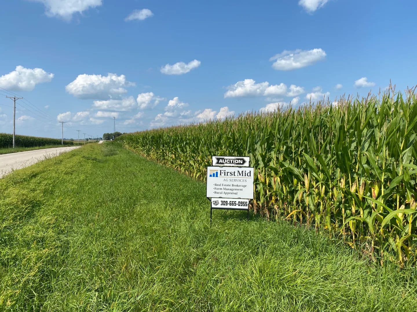 The Driscoll Trust Farmland Auction | 368.57 +/- Acres | Menard County, IL - Forrest, Illinois, 61741