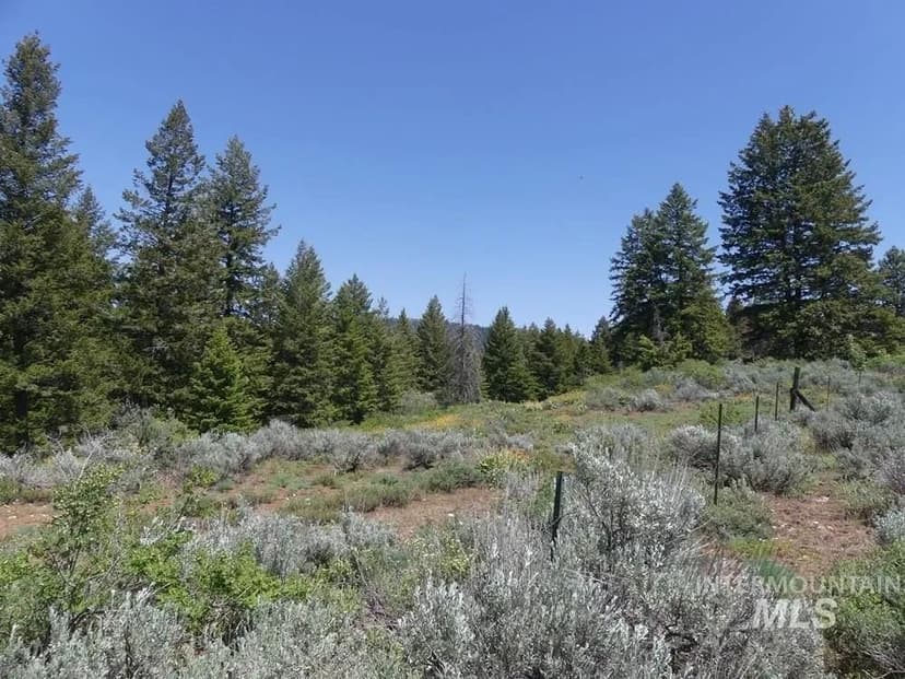 Lots & Land-Other in Indian Valley