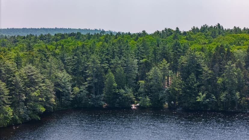 Property from Lot 45-3 McCurdy Pond Road - KW