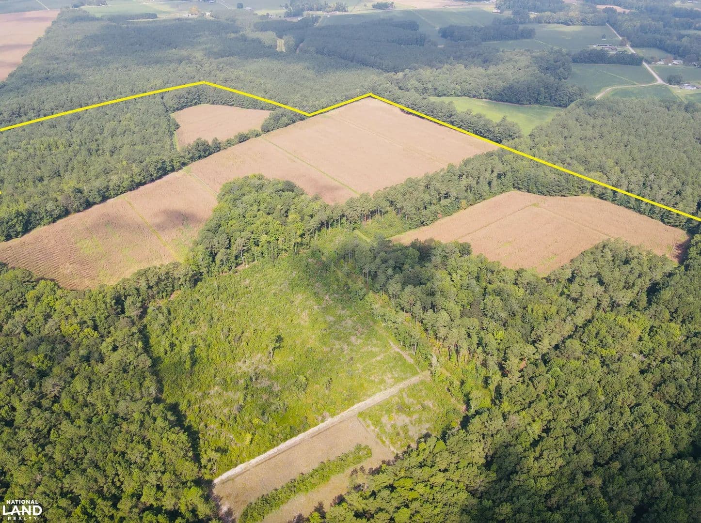 Fresh Branch Farm, Timber, and Recreational Tract - Cerro Gordo, North Carolina, 28430