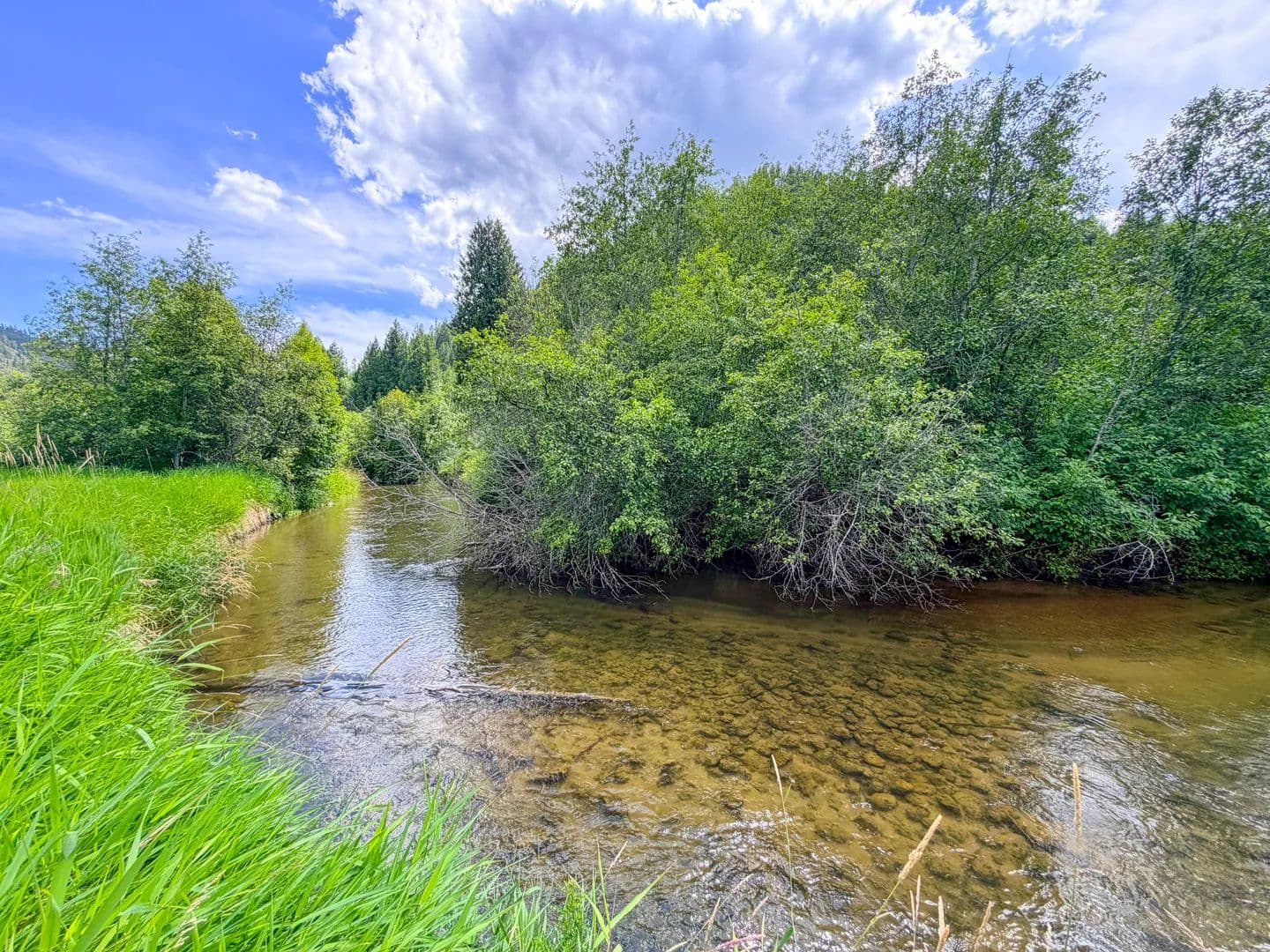 Vacant Land in Colville - Colville, Washington, 99114